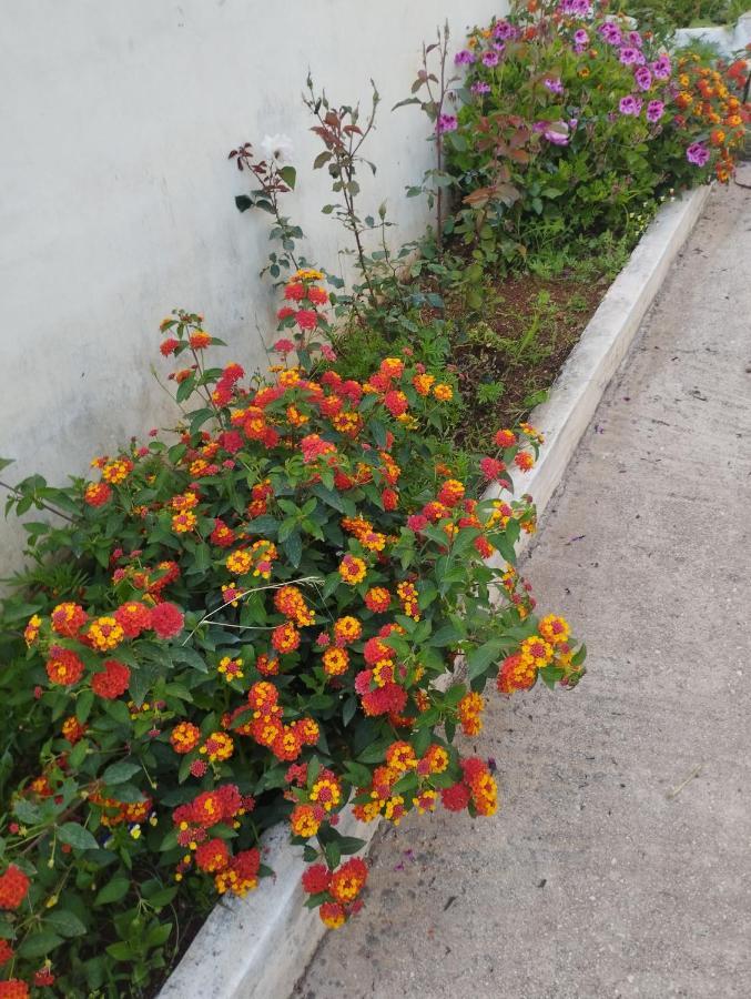 Apartment Ksamil Holiday